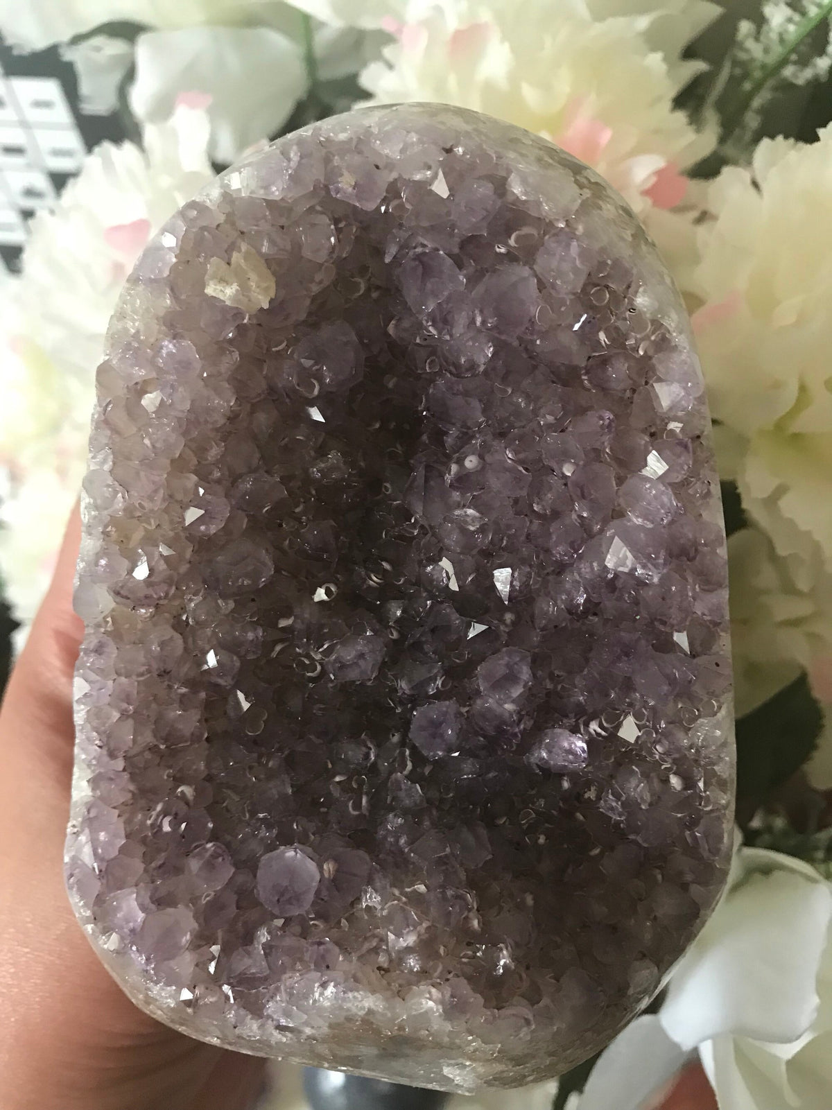Amethyst Geode-Amethyst Crystal Cluster-Amethyst Cluster-Amethyst Cathedral