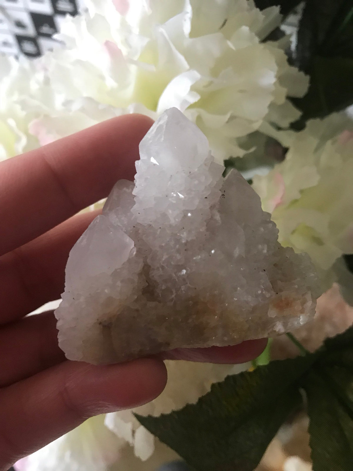Spirit Quartz |Cactus Quartz