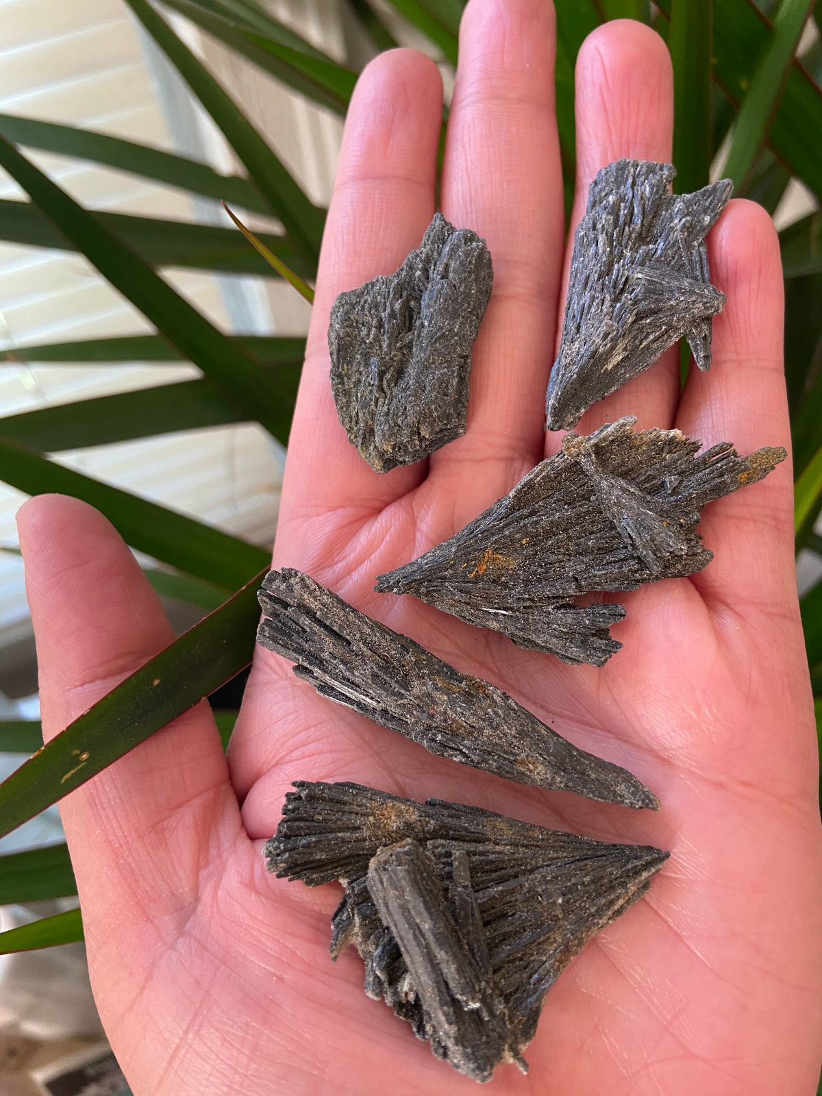 Black Kyanite-Black Kyanite Fan -Black Kyanite Blade
