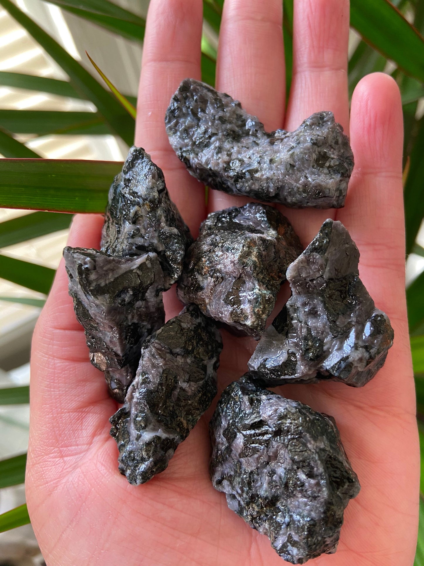 Mystic Merlinite-Indigo Gabbro