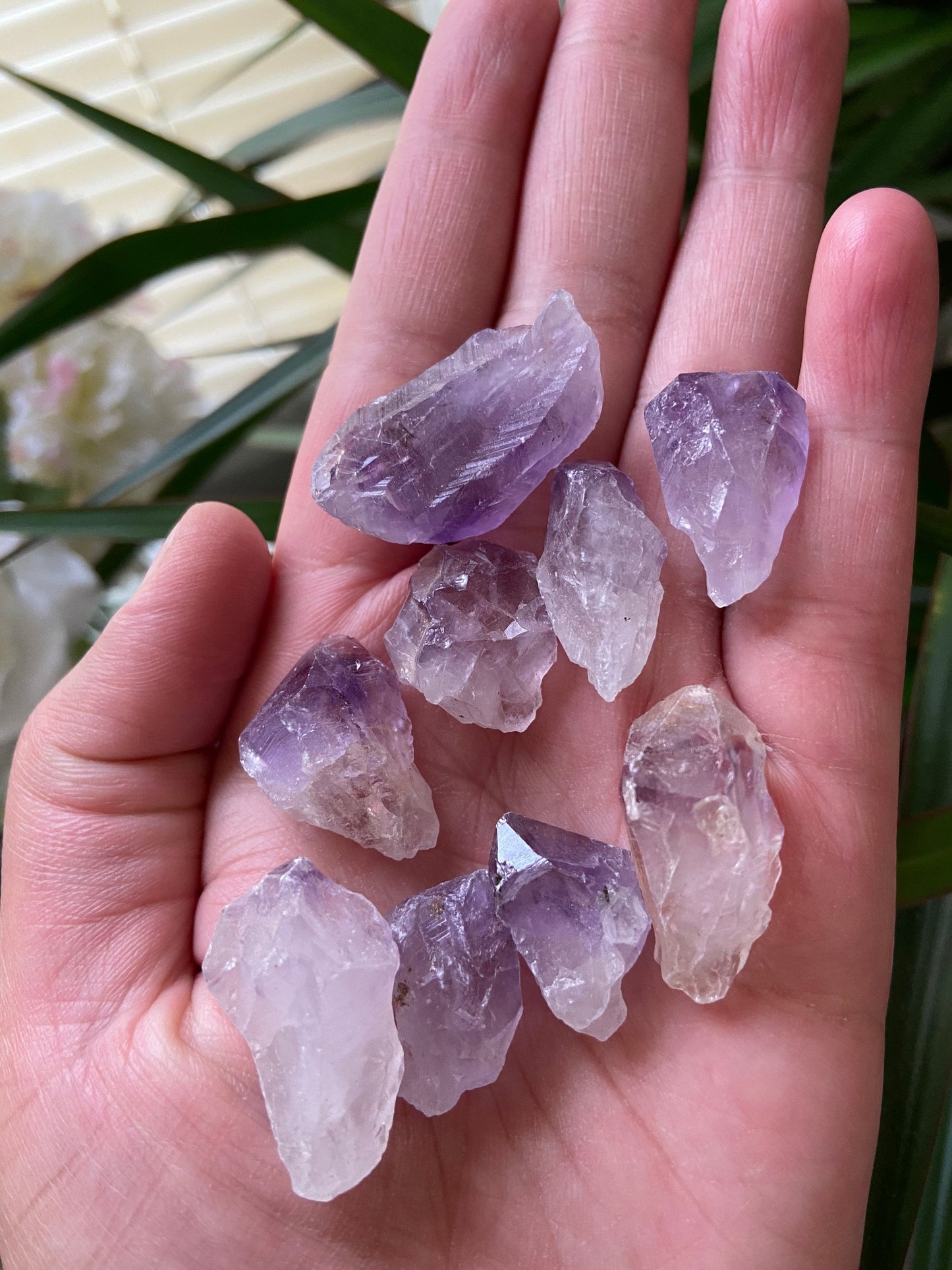 Small Amethyst Points-Amethyst Points-Amethyst Crystals