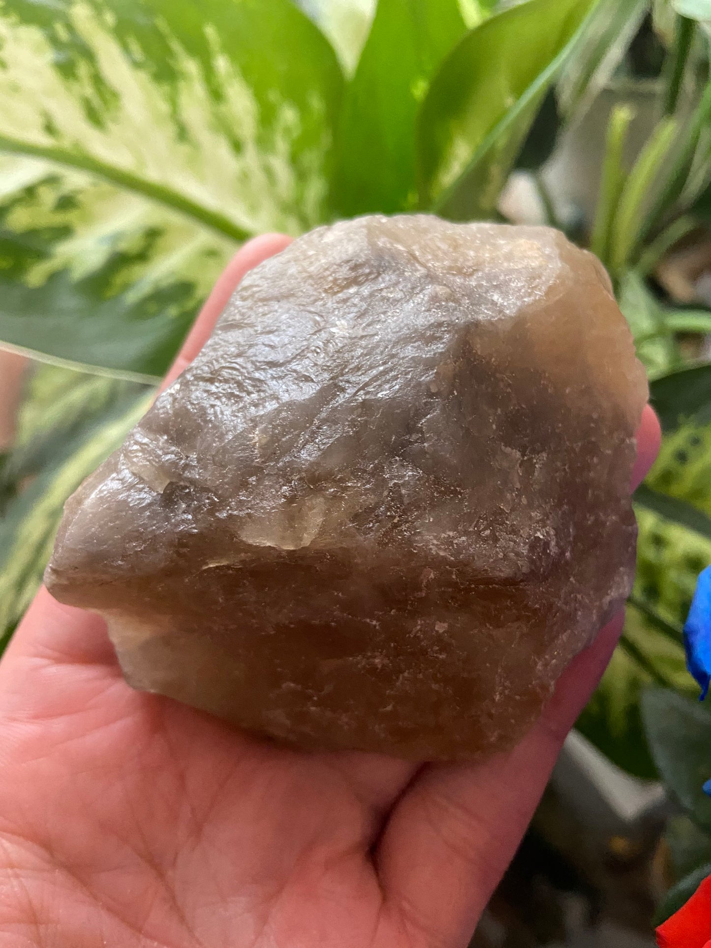 Natural Raw Citrine| Unheated Citrine| Large Raw Citrine