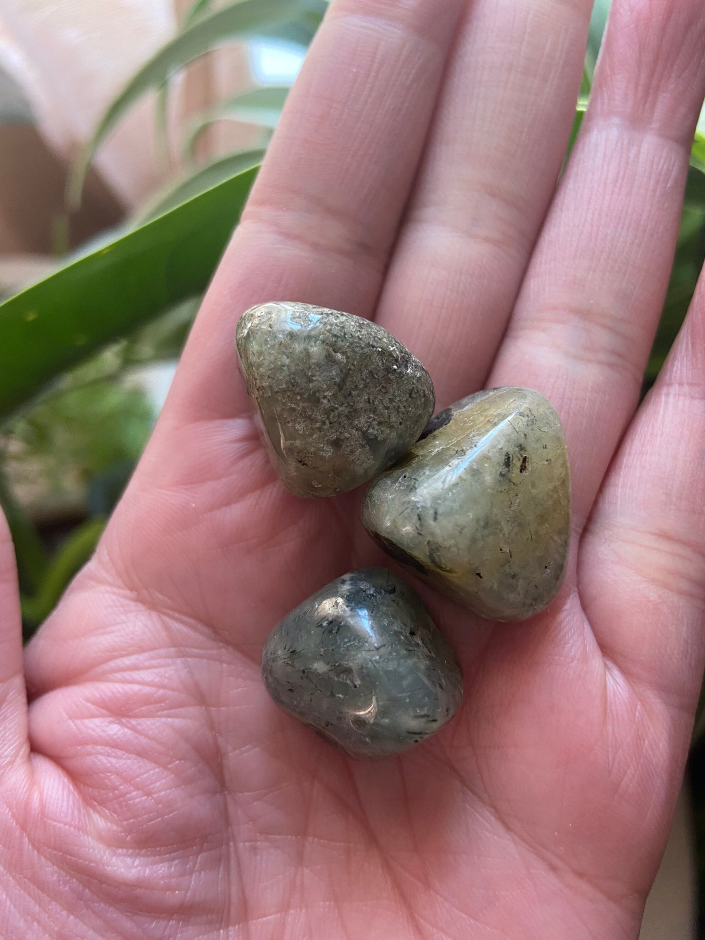 Prehnite Crystal |Tumbled Prehnite