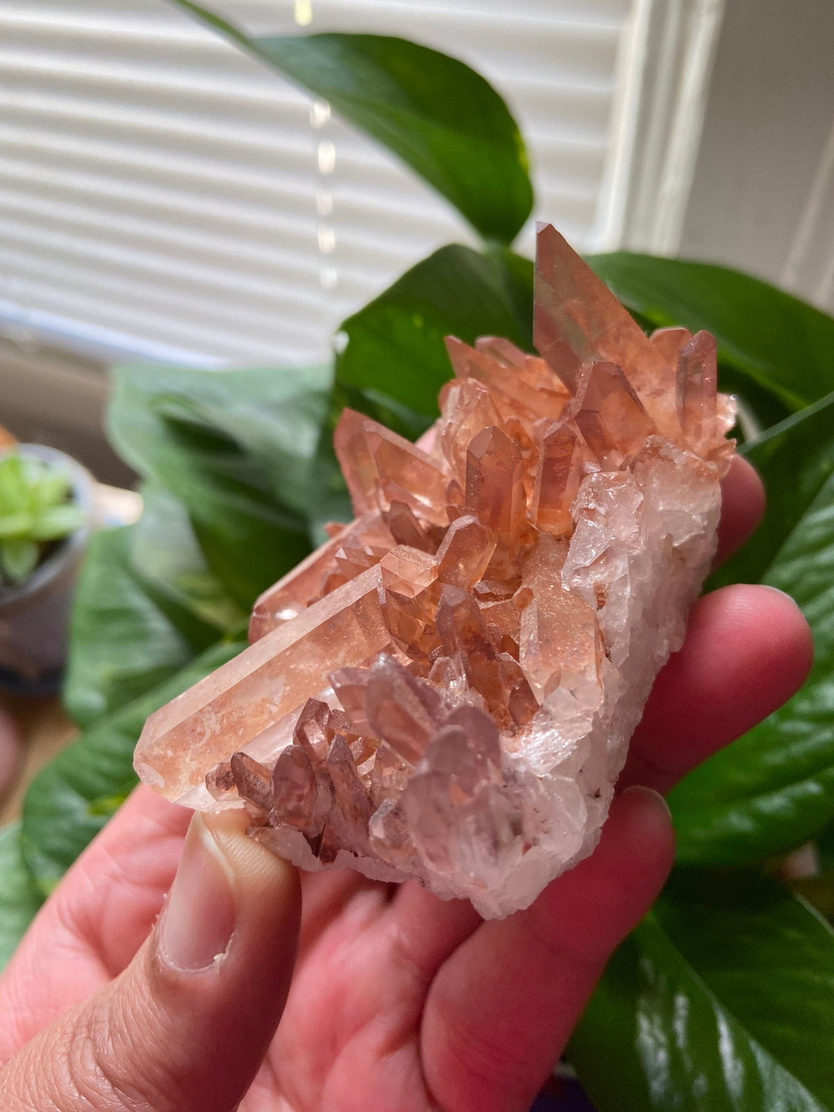 Lemurian Quartz -Lemurian Cluster-Lemurian Crystal Cluster