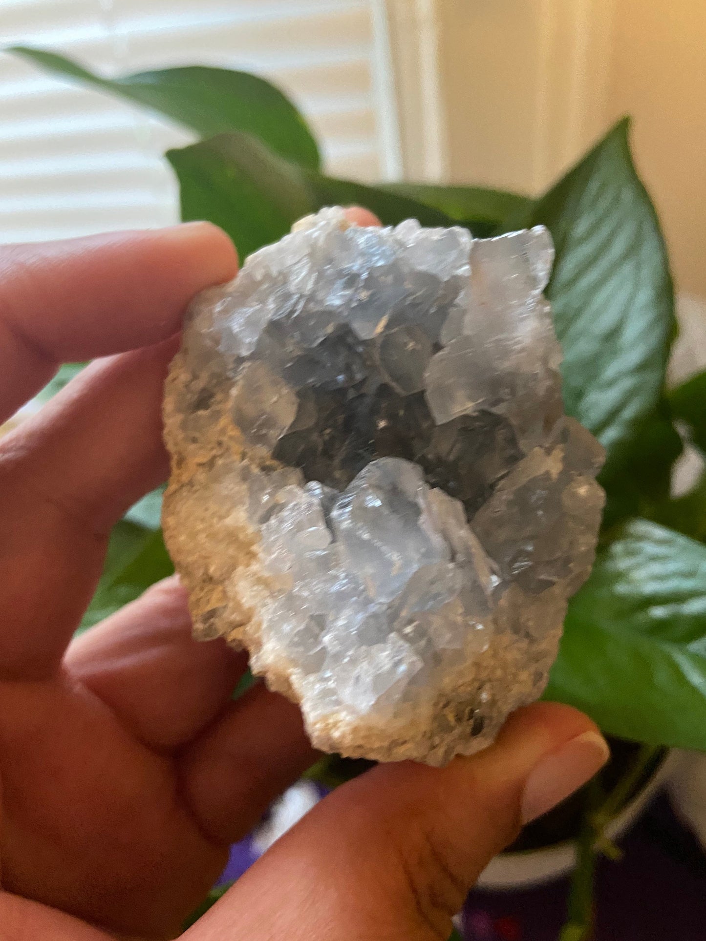 Celestite Cluster-Celestite Geode -Blue Celestite