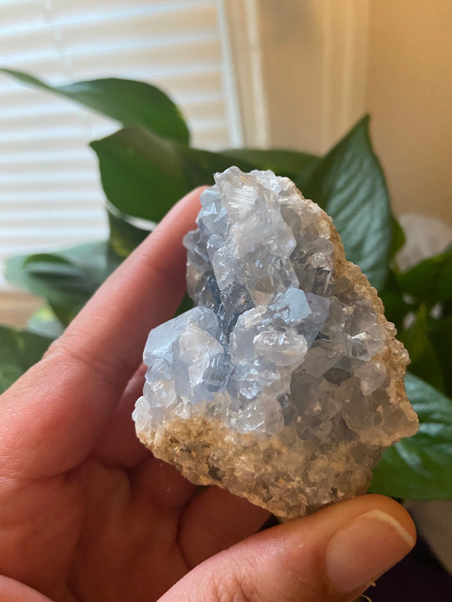 Celestite Cluster-Celestite Geode -Blue Celestite