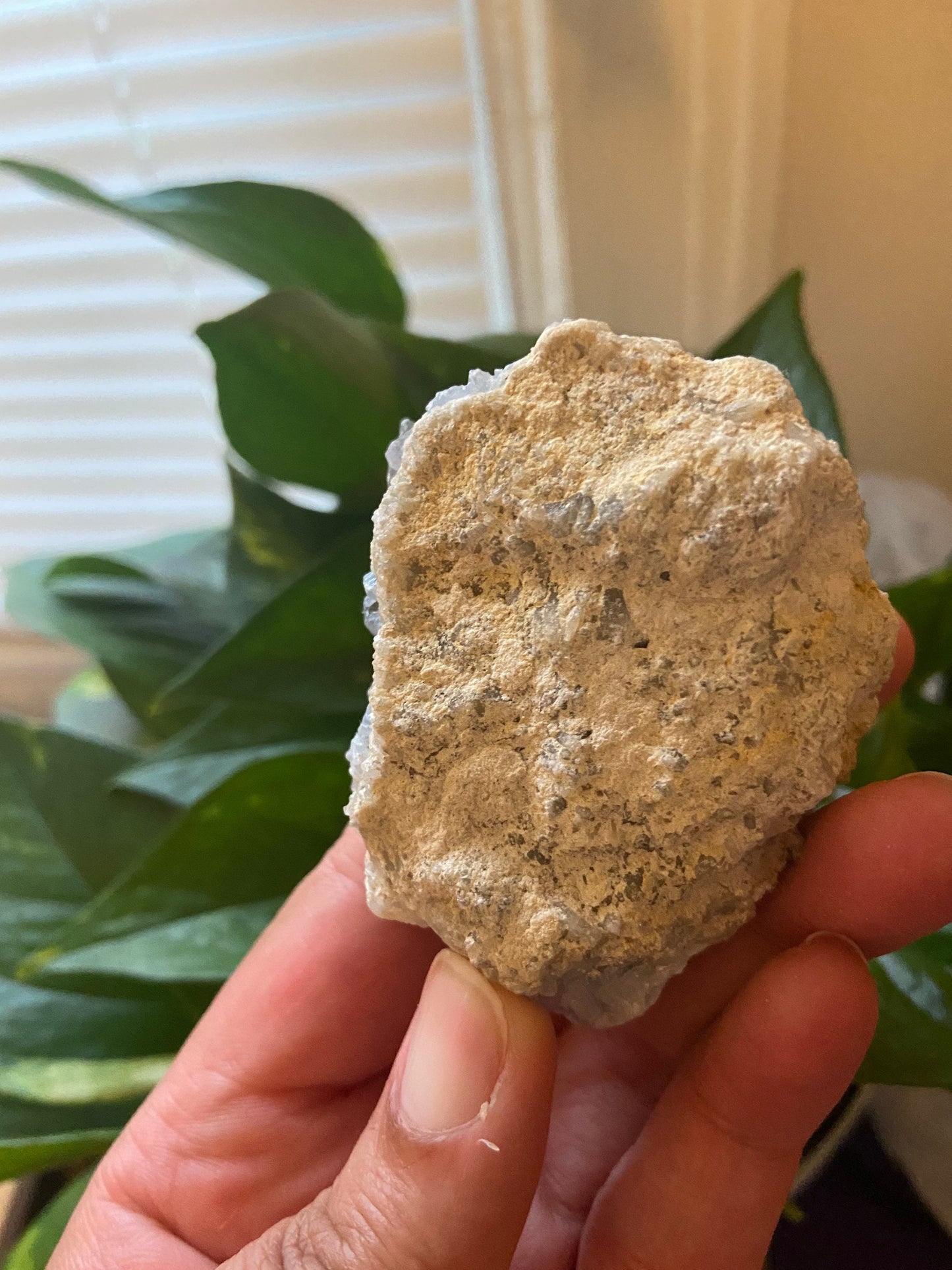 Celestite Cluster-Celestite Geode -Blue Celestite