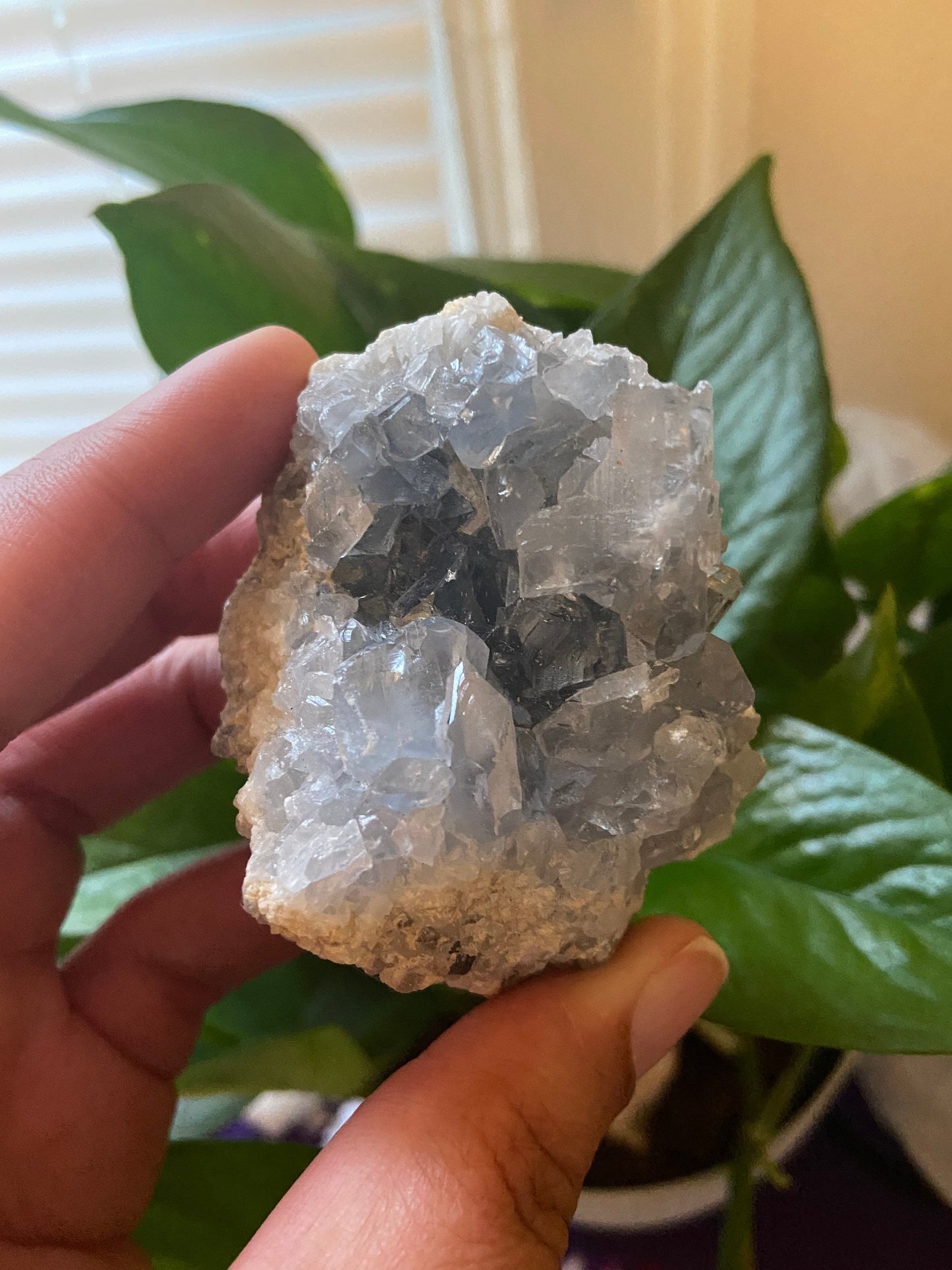 Celestite Cluster-Celestite Geode -Blue Celestite