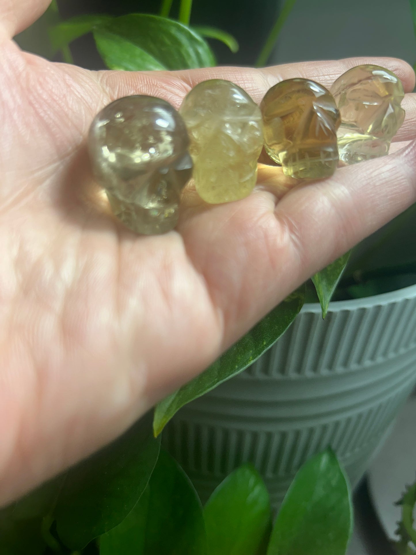 Citrine Crystal Skulls