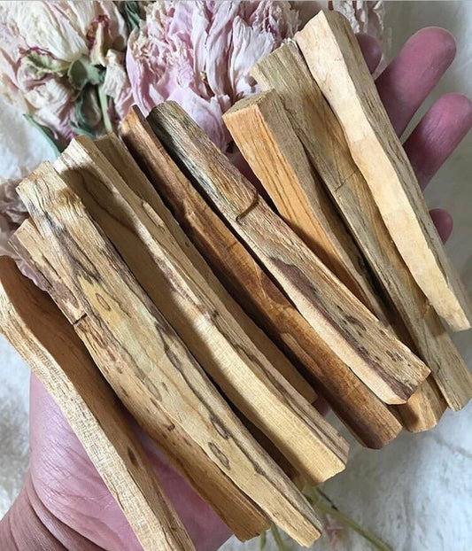 Palo Santo-Palo Santo Sticks-Holy Wood