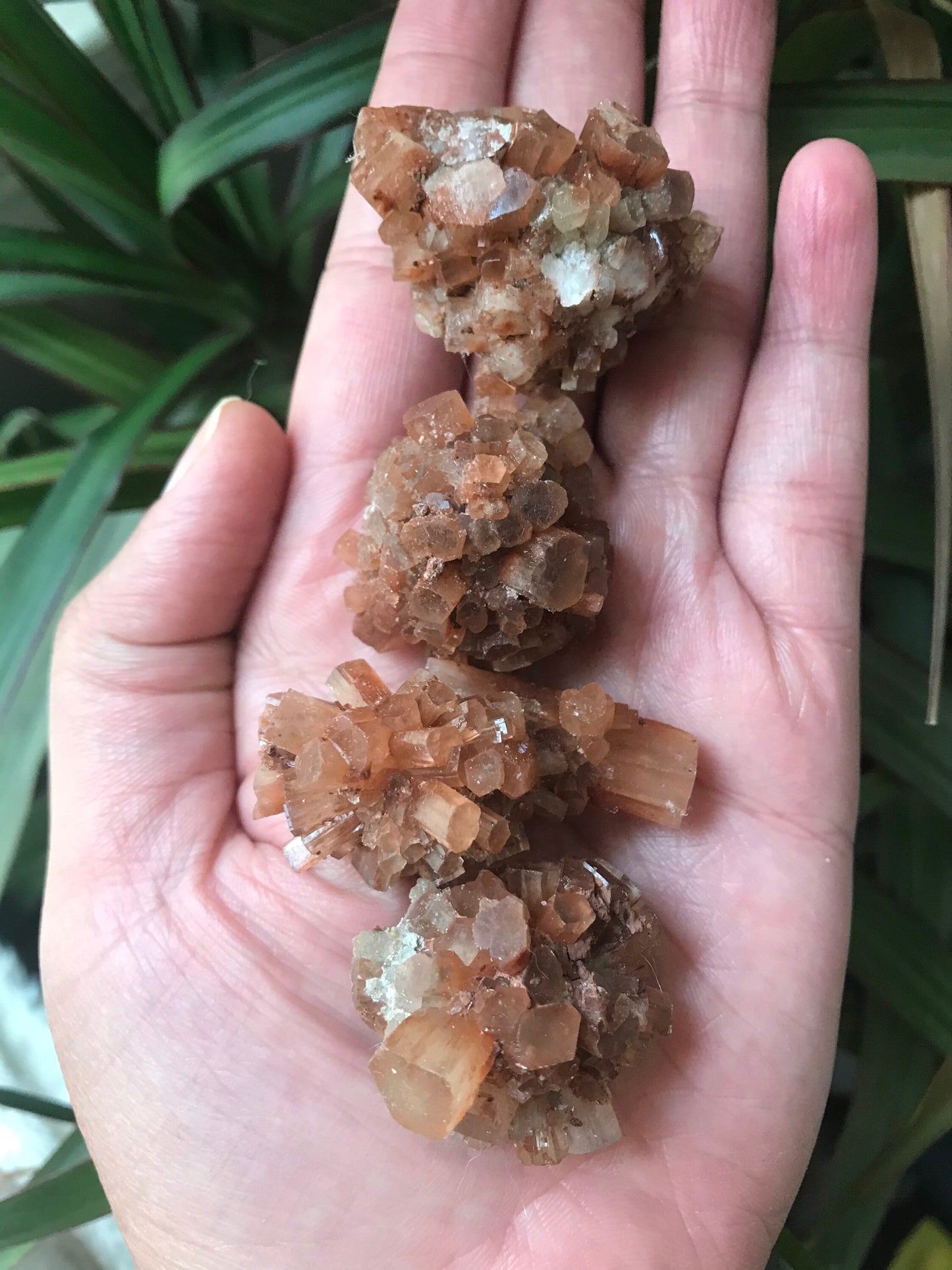 Aragonite Clusters -Medium Aragonite Clusters-Star Aragonite Clusters-Aragonite Crystal-Aragonite Stone