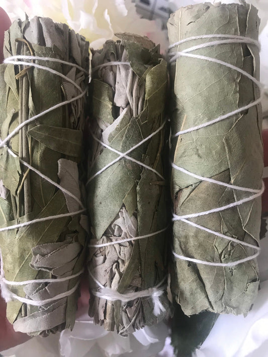 Eucalyptus Smudge Stick-Eucalyptus Smudge-Eucalyptus Smudge Sticks