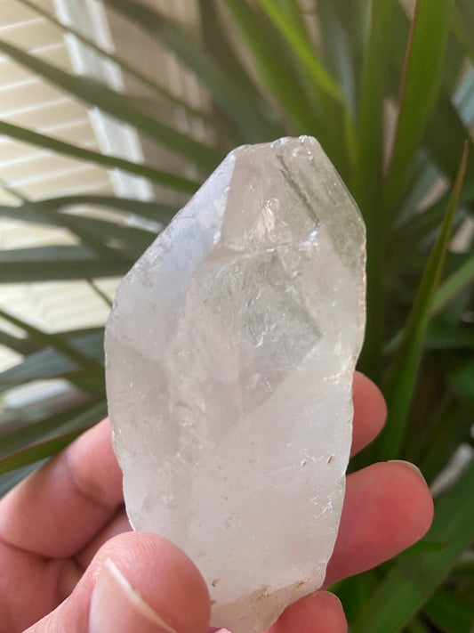 Chlorite Quartz-Chlorite Phantom Quartz