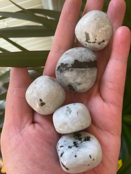 Rainbow Moonstone Crystal-Tumbled Rainbow Moonstone-Moonstone Tumbles-Pocket Stone
