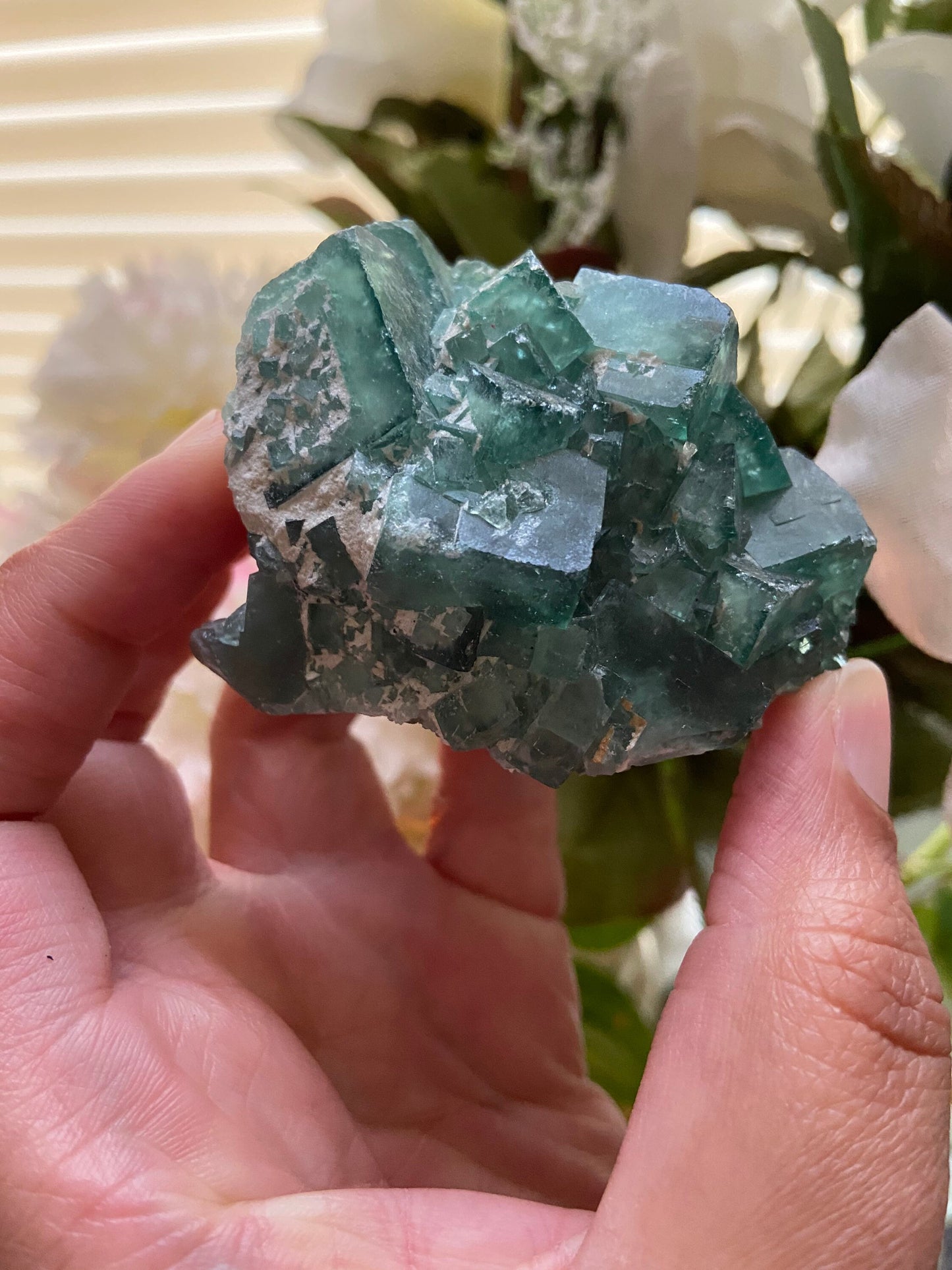 Green Fluorite-Green Fluorite Cluster-Fluorite Cluster