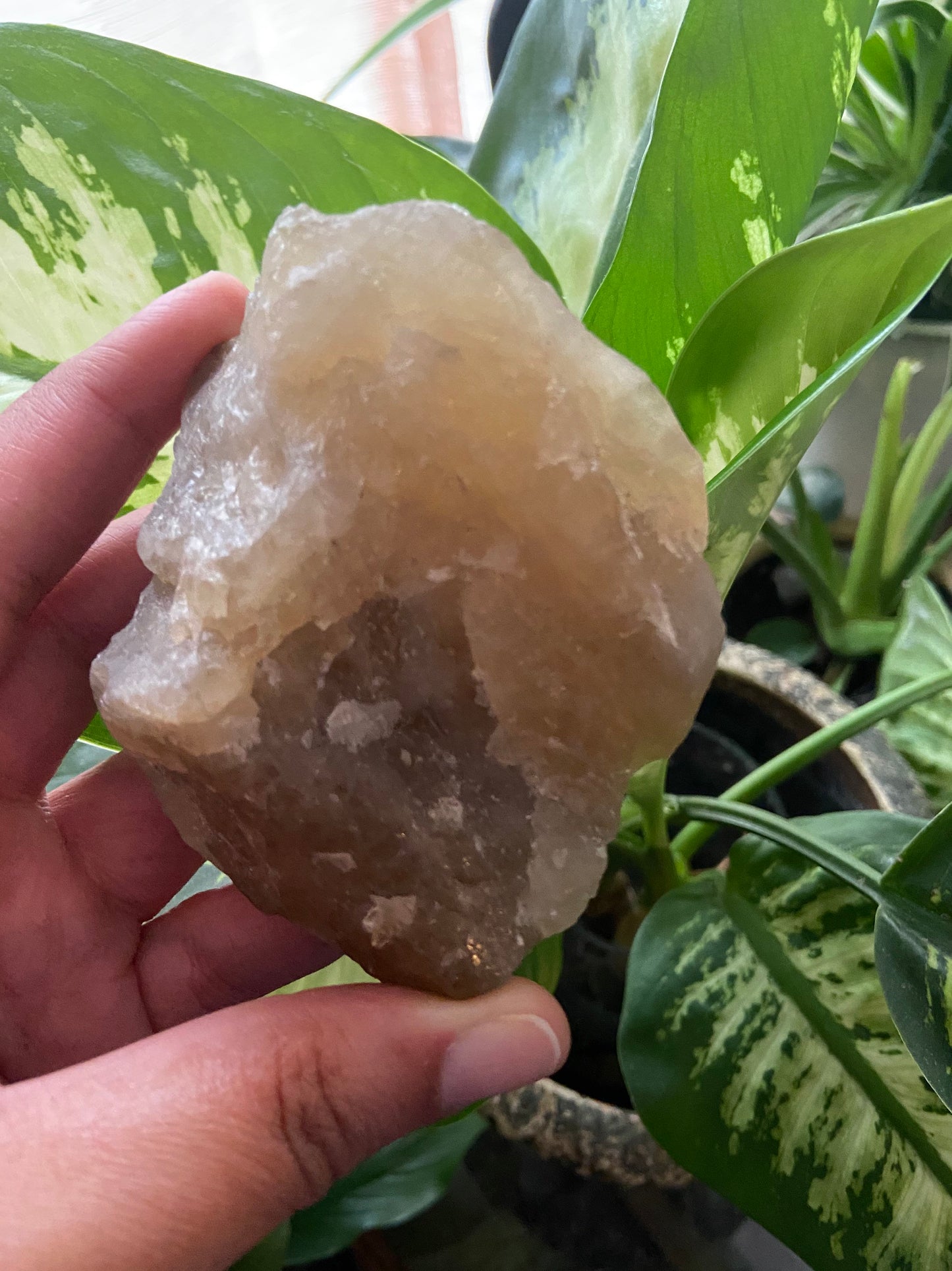 Natural Raw Citrine| Unheated Citrine| Large Raw Citrine