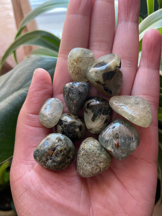Prehnite Crystal |Tumbled Prehnite