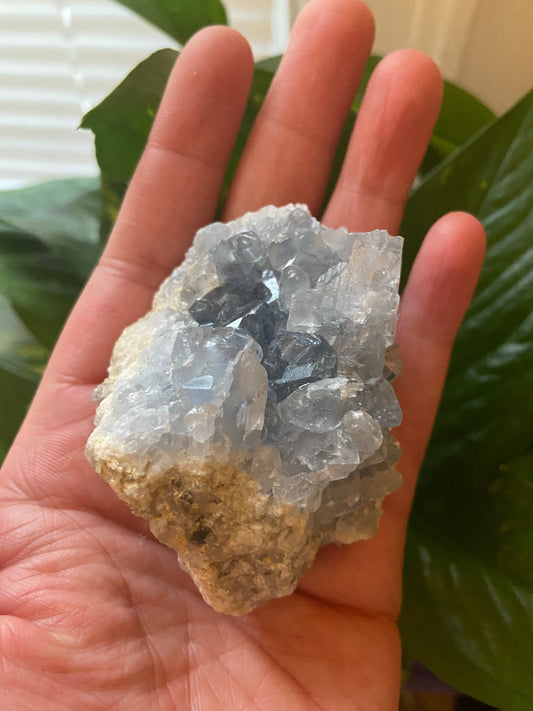 Celestite Cluster-Celestite Geode -Blue Celestite