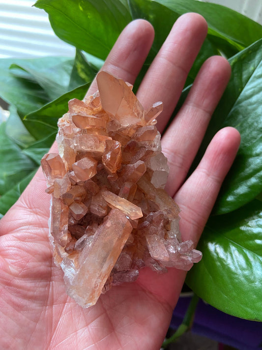 Lemurian Quartz -Lemurian Cluster-Lemurian Crystal Cluster